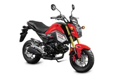 Honda MSX125 colour option, in stock at Ulu Tiram